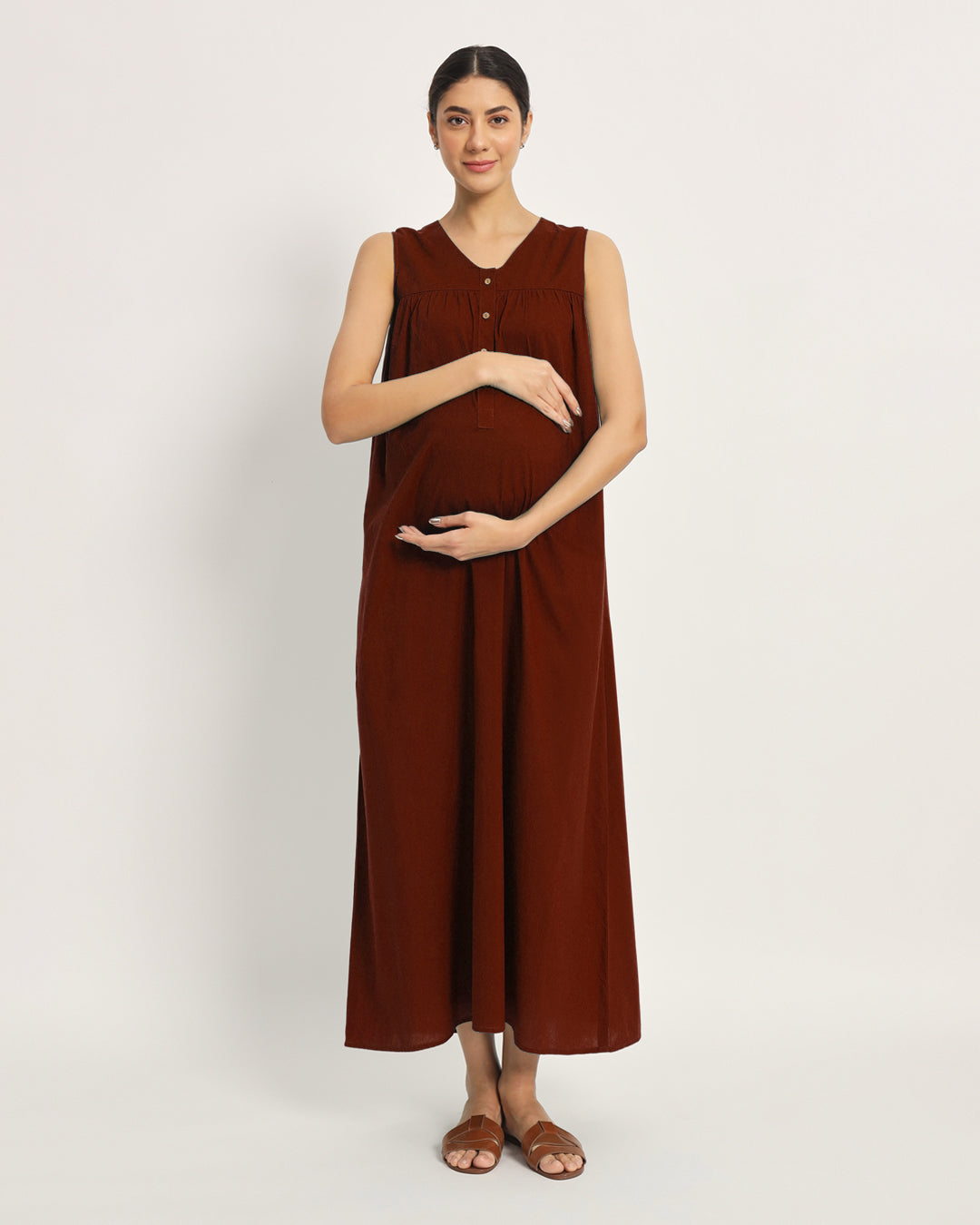 Russet Red Mommylicious Maternity & Nursing Dress